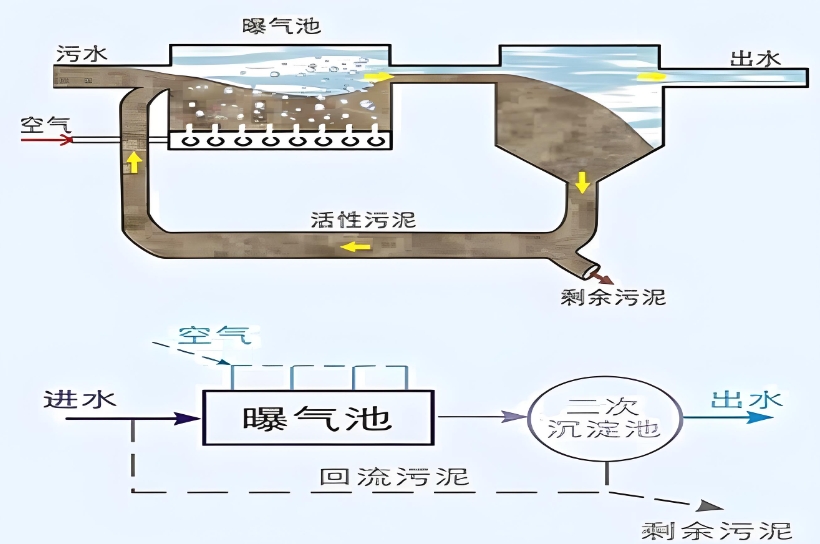 活性污泥系統(tǒng)污泥回流池怎么控制？